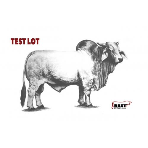 2022 LOT 03 - FOR TEST