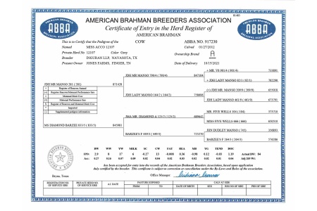 LOT 132 - MISS ACCO 12107