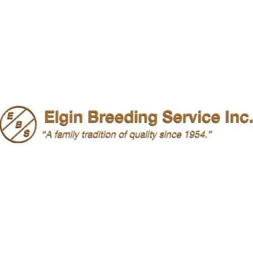 LOT 29 -  ELGIN BREEDING SERVICE - BASIC HEALTH TESTING PACKAGE