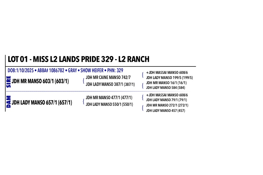 LOT 001 - MISS L2 LANDS PRIDE 329 - L2 RANCH