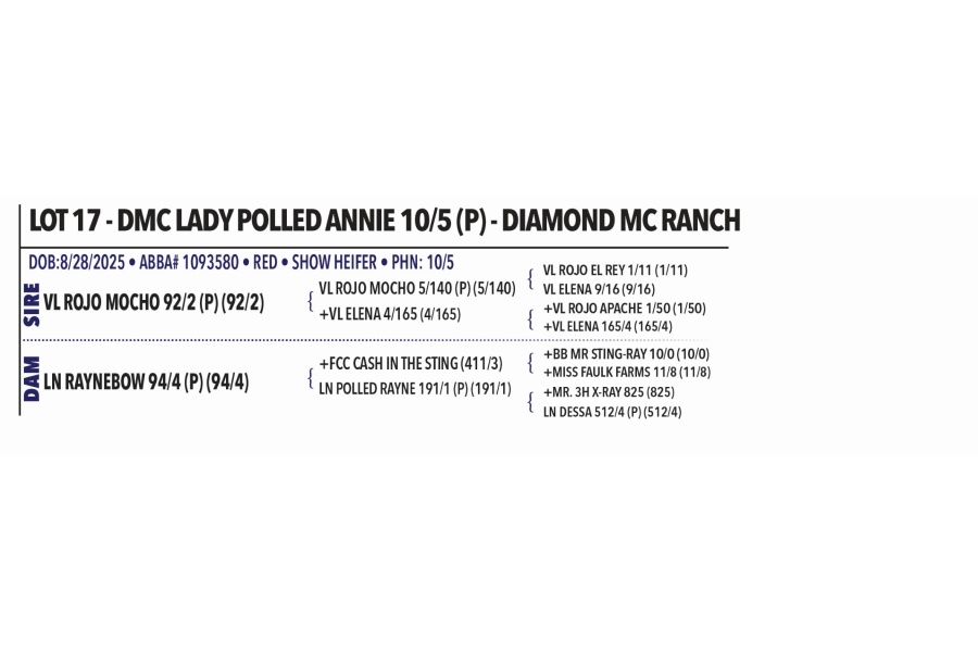 LOT 017 - DMC LADY POLLED ANNIE 10/5 (P) - DIAMOND MC RANCH