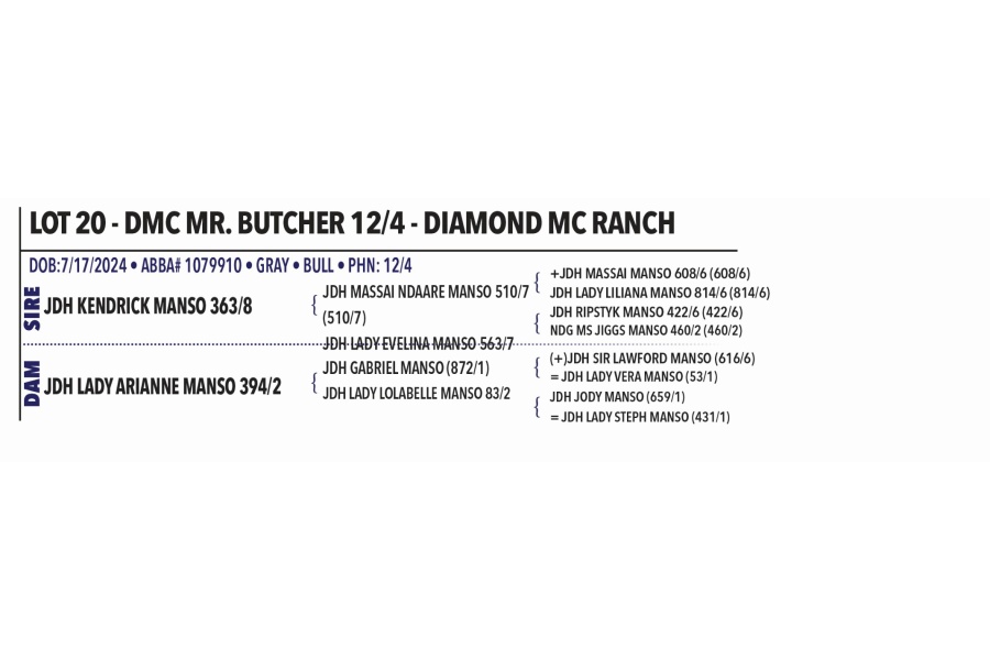 LOT 020 - DMC MR. BUTCHER 12/4 - DIAMOND MC RANCH
