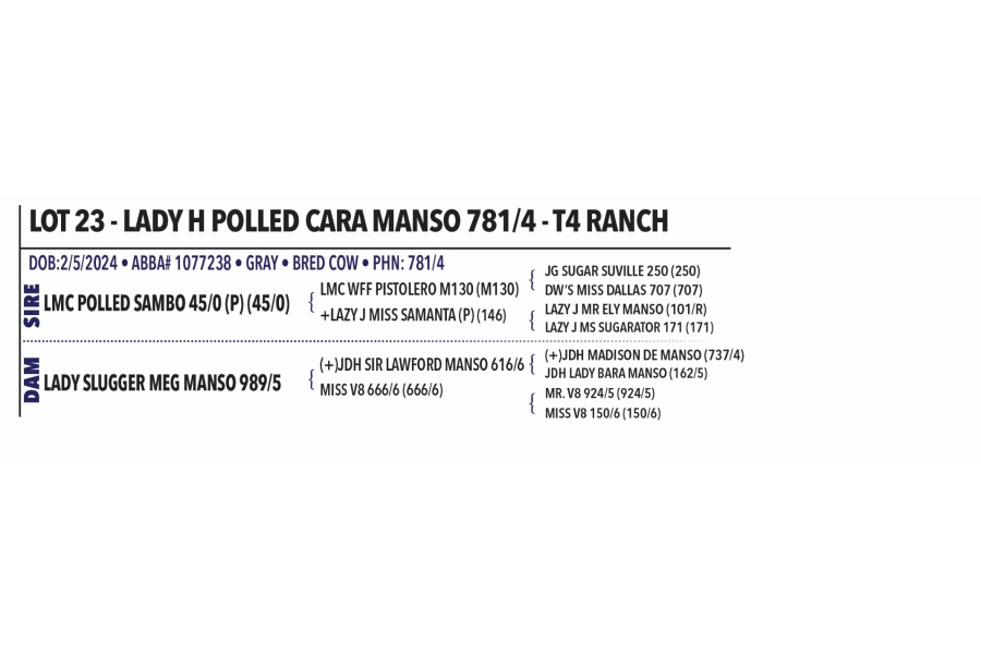 LOT 023 - LADY H POLLED CARA MANSO 781/4 - T4 RANCH