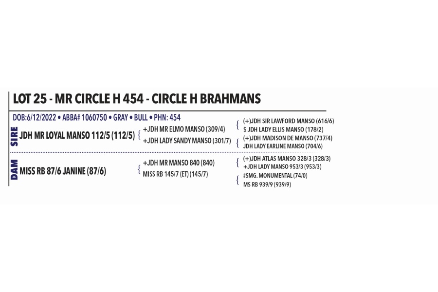 LOT 025 - MR CIRCLE H 454 - CIRCLE H BRAHMANS