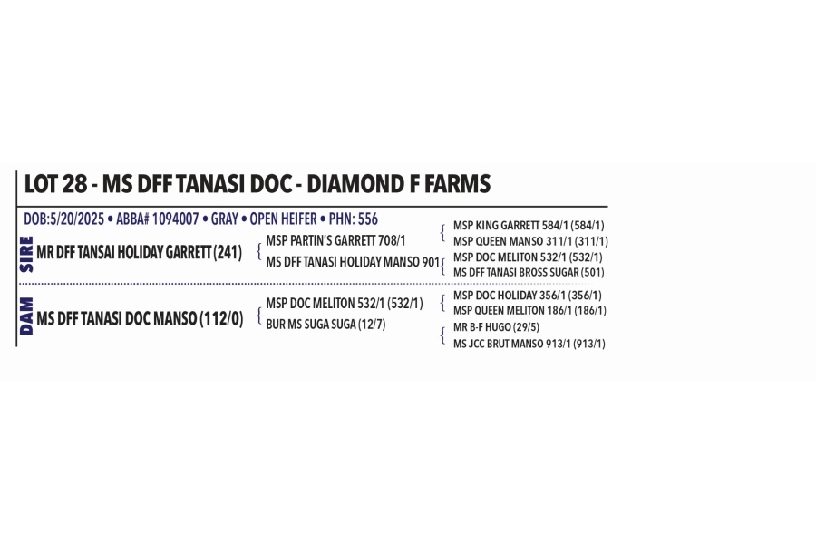 LOT 028 - MS DFF TANASI DOC - DIAMOND F FARMS