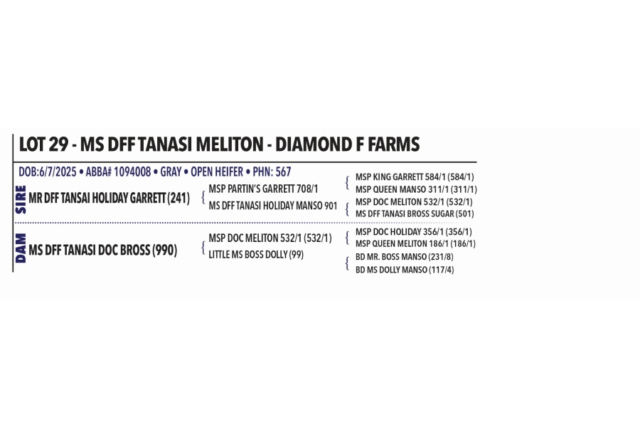 LOT 029 - MS DFF TANASI MELITON - DIAMOND F FARMS