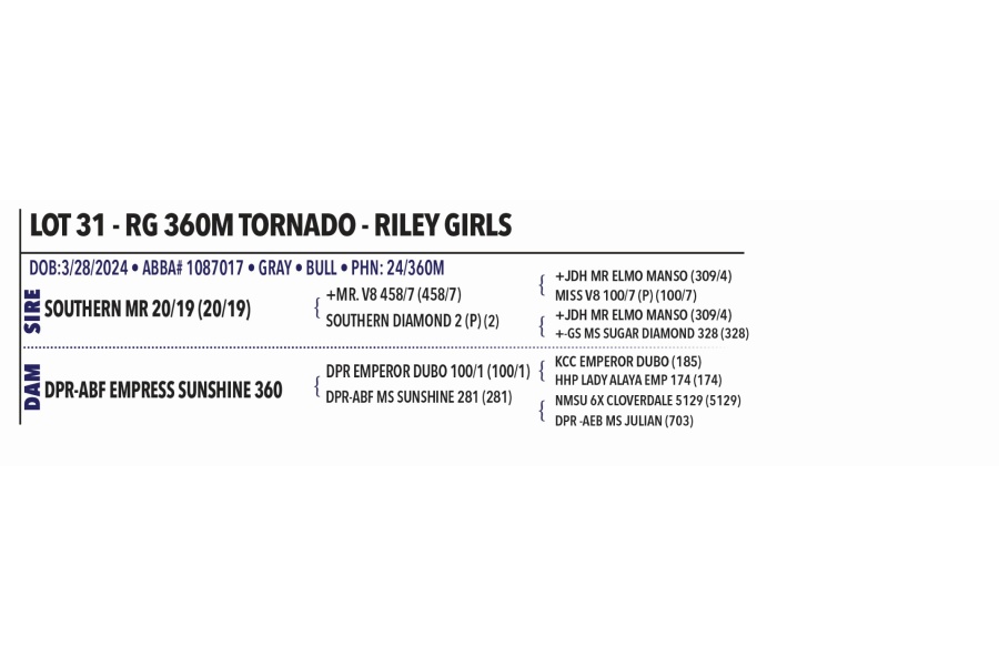 LOT 031 - RG 360M TORNADO - RILEY GIRLS