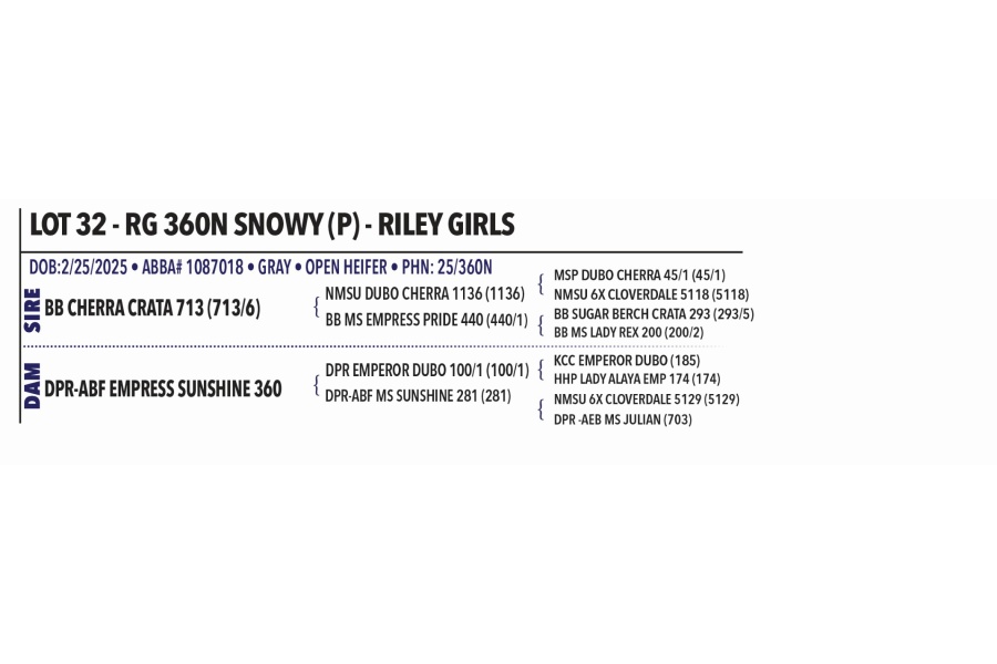 LOT 032 - RG 360N SNOWY (P) - RILEY GIRLS