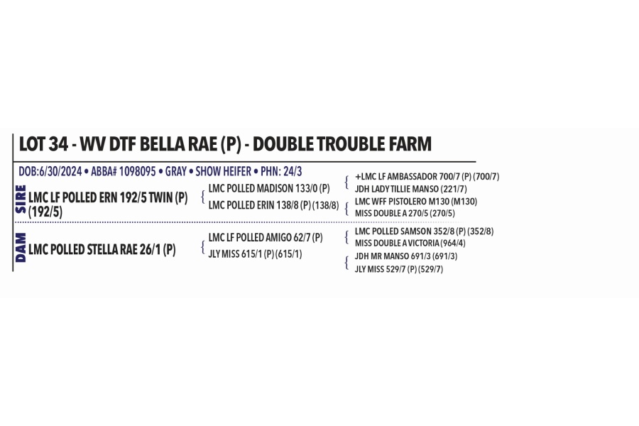 LOT 034 - WV DTF BELLA RAE (P) - DOUBLE TROUBLE FARM