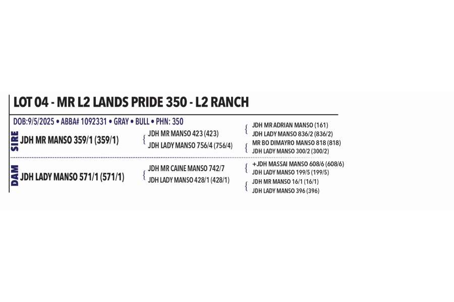 LOT 004 - MR L2 LANDS PRIDE 350 - L2 RANCH