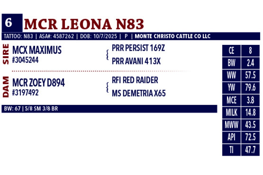 LOT 06 - MCR LEONA N83
