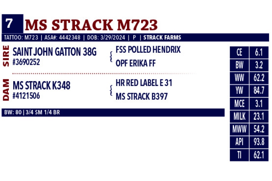 LOT 07 - MS STRACK M723
