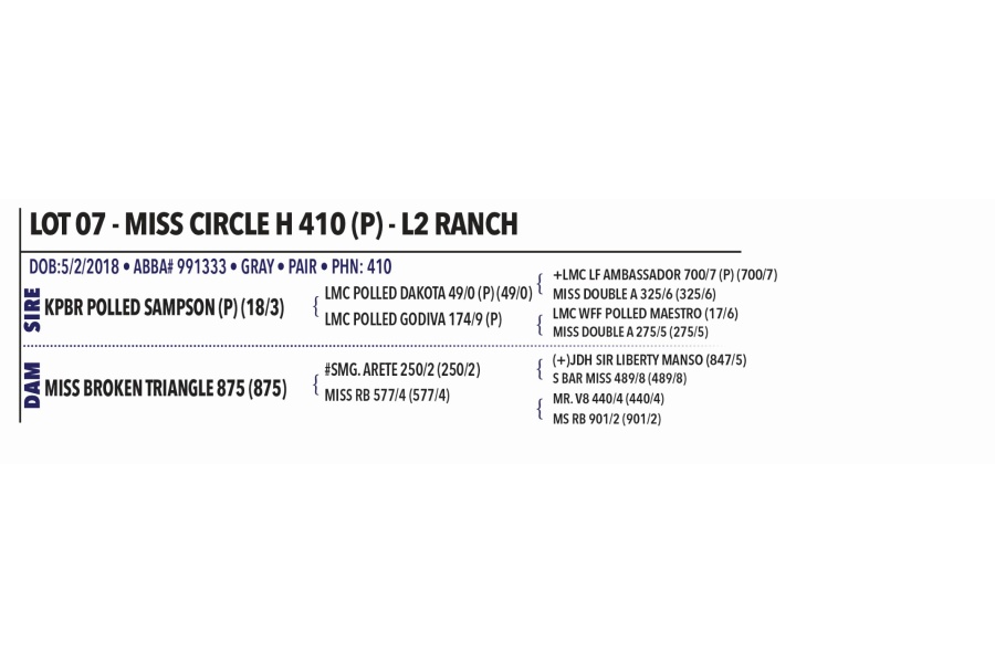 LOT 007 - MISS CIRCLE H 410 (P) - L2 RANCH