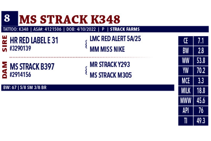 LOT 08 - MS STRACK K348