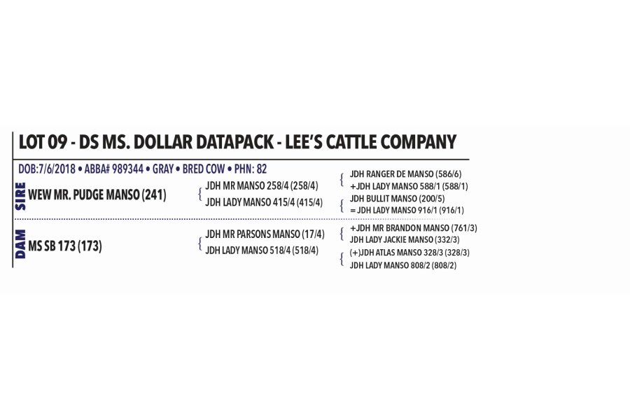 LOT 009 - DS MS. DOLLAR DATAPACK - LEE’S CATTLE COMPANY