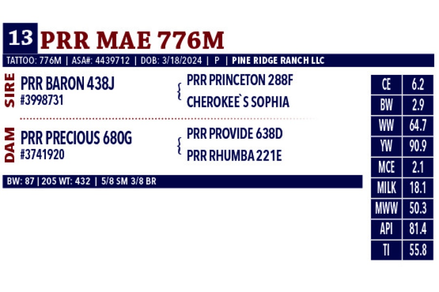 LOT 13 - PRR MAE 776M