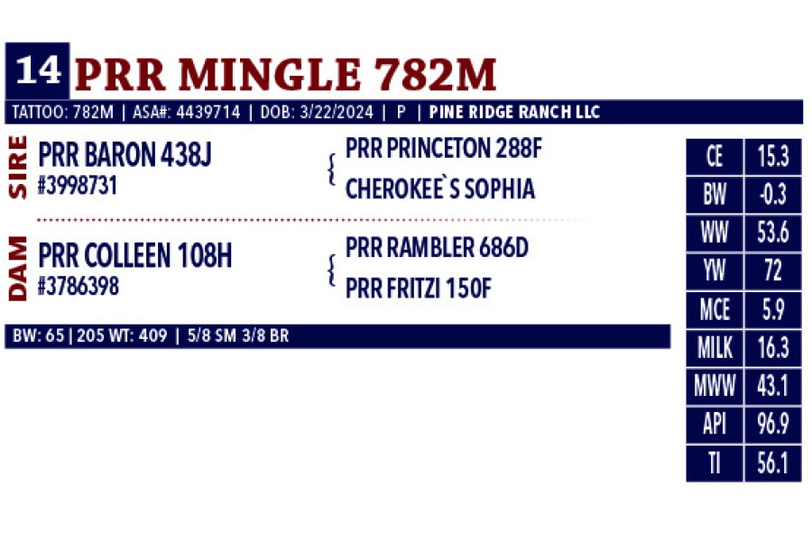 LOT 14 - PRR MINGLE 782M