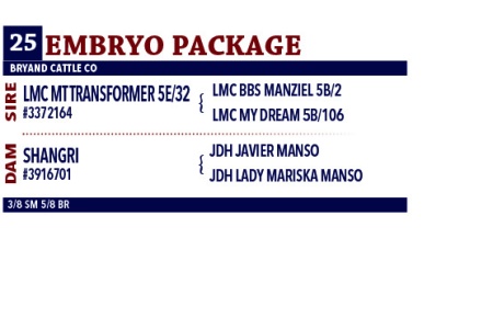 LOT 25 - THREE SEXED IVF FEMALE EMBRYO PACKAGE - LMC MT TRANSFORMER 5E/32 X SHANGRI