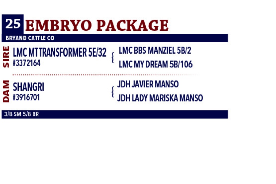 LOT 25 - THREE SEXED IVF FEMALE EMBRYO PACKAGE - LMC MT TRANSFORMER 5E/32 X SHANGRI