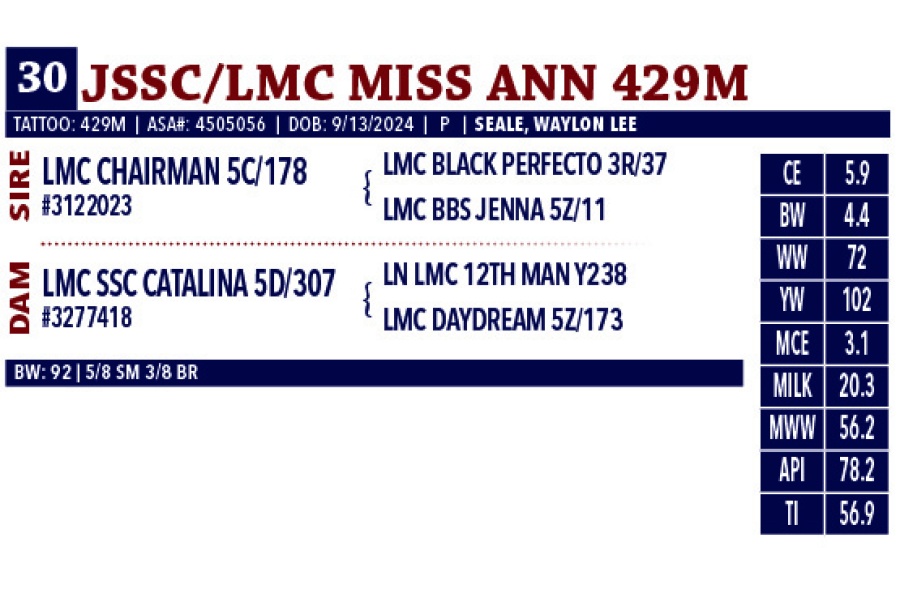 LOT 30 - JSSC/LMC MISS ANN 429M