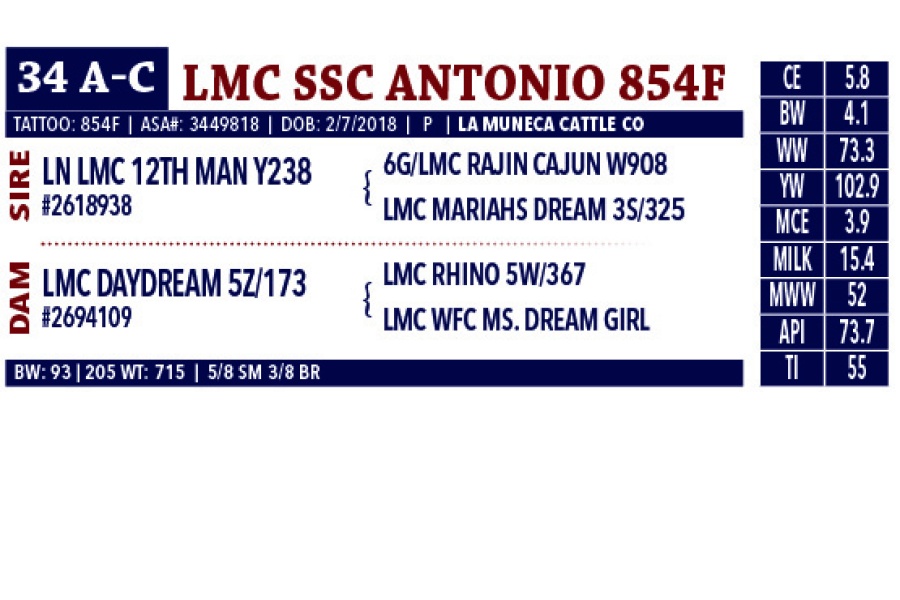 LOT 34B- LMC SSC ANTONIO 854F - SELLING A FIVE-UNIT SEMEN PACKAGE