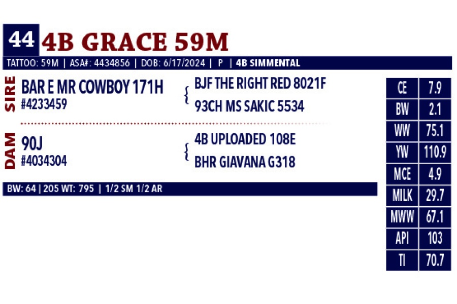 LOT 44 - 4B GRACE 59M