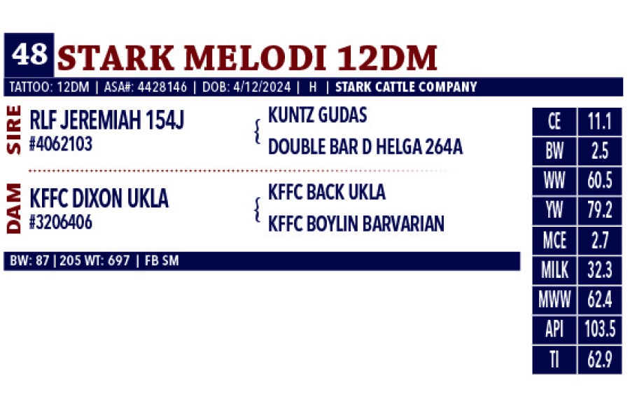 LOT 48 - STARK MELODI 12DM