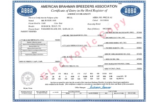 MR JH JUDE 116/8 SEMEN PACKAGE - USA PRICING