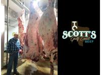 LOT 02 - SCOTT'S GULF COAST BEEF - ONE-QUARTER WHOLE BEEF PROCESSING